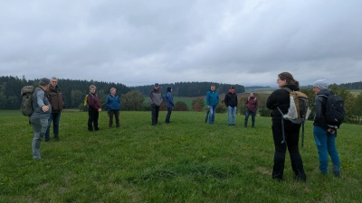 Am Kellerbühl westlich von Marchaney wird eine mittelalterliche Wehranlage vermutet. (Bild: Markus Frank)