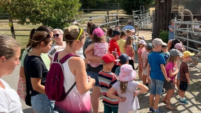 Klassiker im Ferienprogramm – Freie Wähler Püchersreuth laden wegen der großen Nachfrage in den Vorjahren erneut ein zum Besuch der Straußenfarm in Kotzenbach. (Bild: Klaus Kuran)