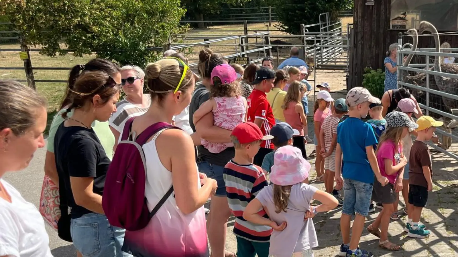 Klassiker im Ferienprogramm – Freie Wähler Püchersreuth laden wegen der großen Nachfrage in den Vorjahren erneut ein zum Besuch der Straußenfarm in Kotzenbach. (Bild: Klaus Kuran)