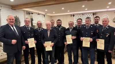 Langjährige Mitglieder ehrte die FFW Großensees. Im Bild von links: Bürgermeister Johann Burger, Georg Bauer, Kommandant Thomas Lindner, Josef Bauer, Michael Haberkorn, 2. Kommandant Tobias Kipferl, Andreas Gleißner sen., Peter Malzer, Max Wölfl, Vorsitzender Matthias Härtl und Walter Fachtan. (Bild: Tanja Wettinger)