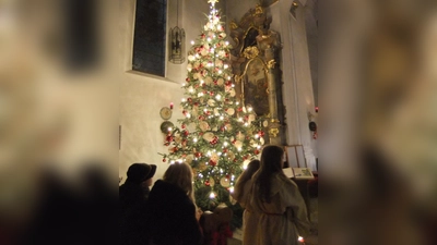 Der schöne Christbaum in der Pittersberger Nikolauskirche ist noch weit hinein in den Monat Januar hier zu sehen. Fleißige Frauenhände hatten ihn für das Christkindl reichlich geschmückt.  (Bild: Michael Götz)