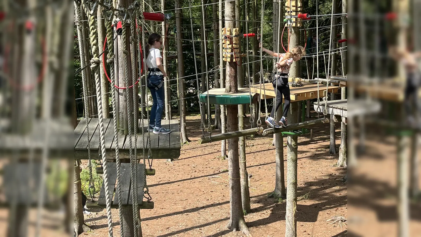Besuch im Hochseilgarten.  (Bild: Rainer Seidel)