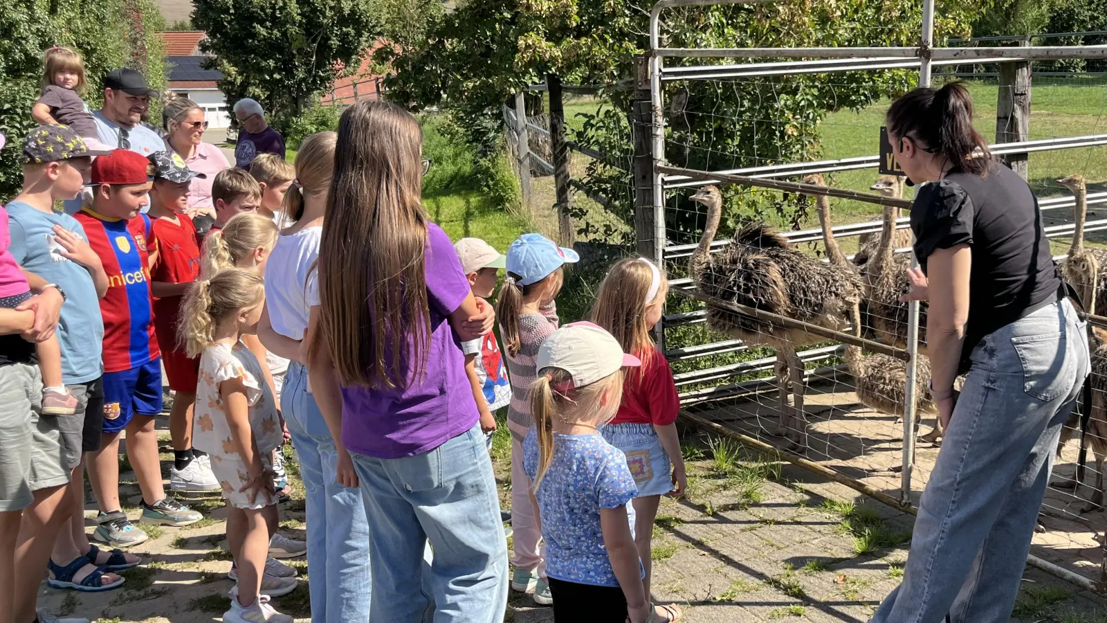 Besichtigung der Straußenfarm im Ferienprogramm der Freien Wähler Püchersreuth  (Bild: Klaus Kuran)