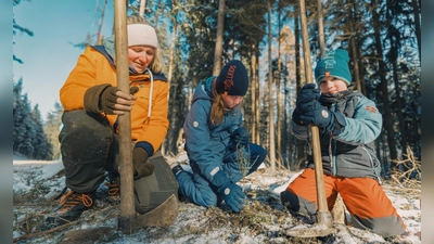 Pflanzaktion trotz Eis und Kälte (Bild: Martin Hertel)