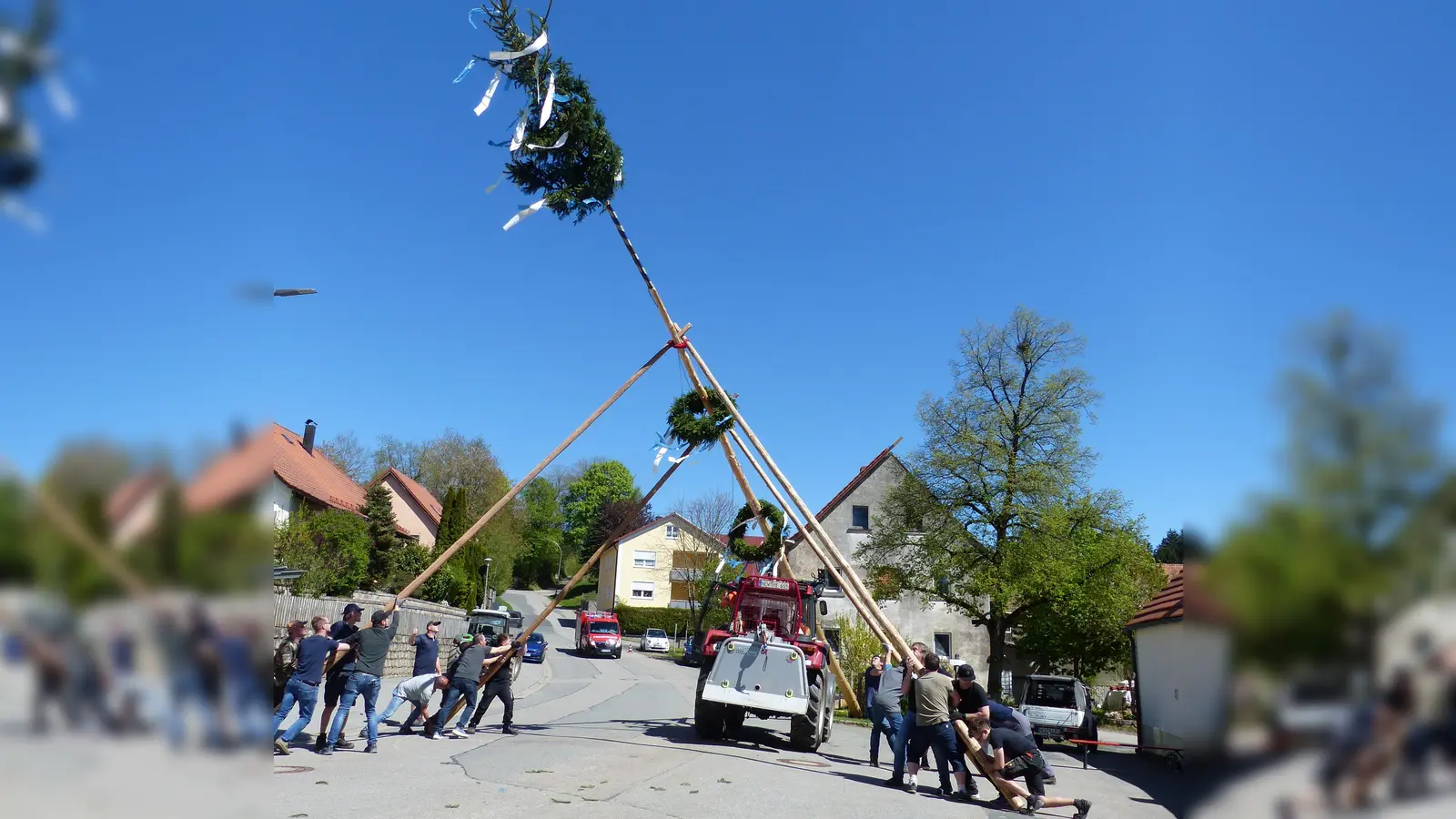  Mit Schwalben, Stärke, Hauruck und dem Bulldog wurde der Maibaum aufgestellt. (Bild: Sieglinde Schärtl)
