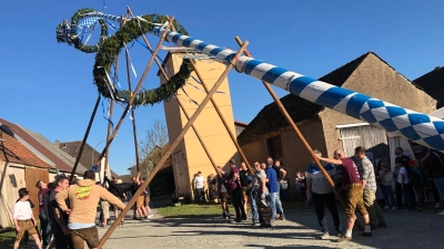Mit Muskelkraft wurde in mantel der Maibaum aufgestellt.  (Bild: Eva Seifried)