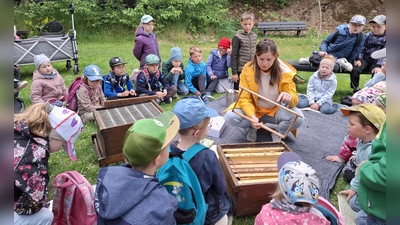 Auf großes Interesse stieß das Thema Bienen mit Imkerin Maria Schindler (Bild: Sandra Preitschaft)