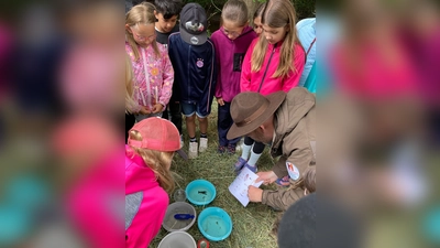 Grundschüler und Naturparkranger beim Beobachten und Bestimmen der Lebewesen aus dem Gewässer. (Bild: Diana Troidl)