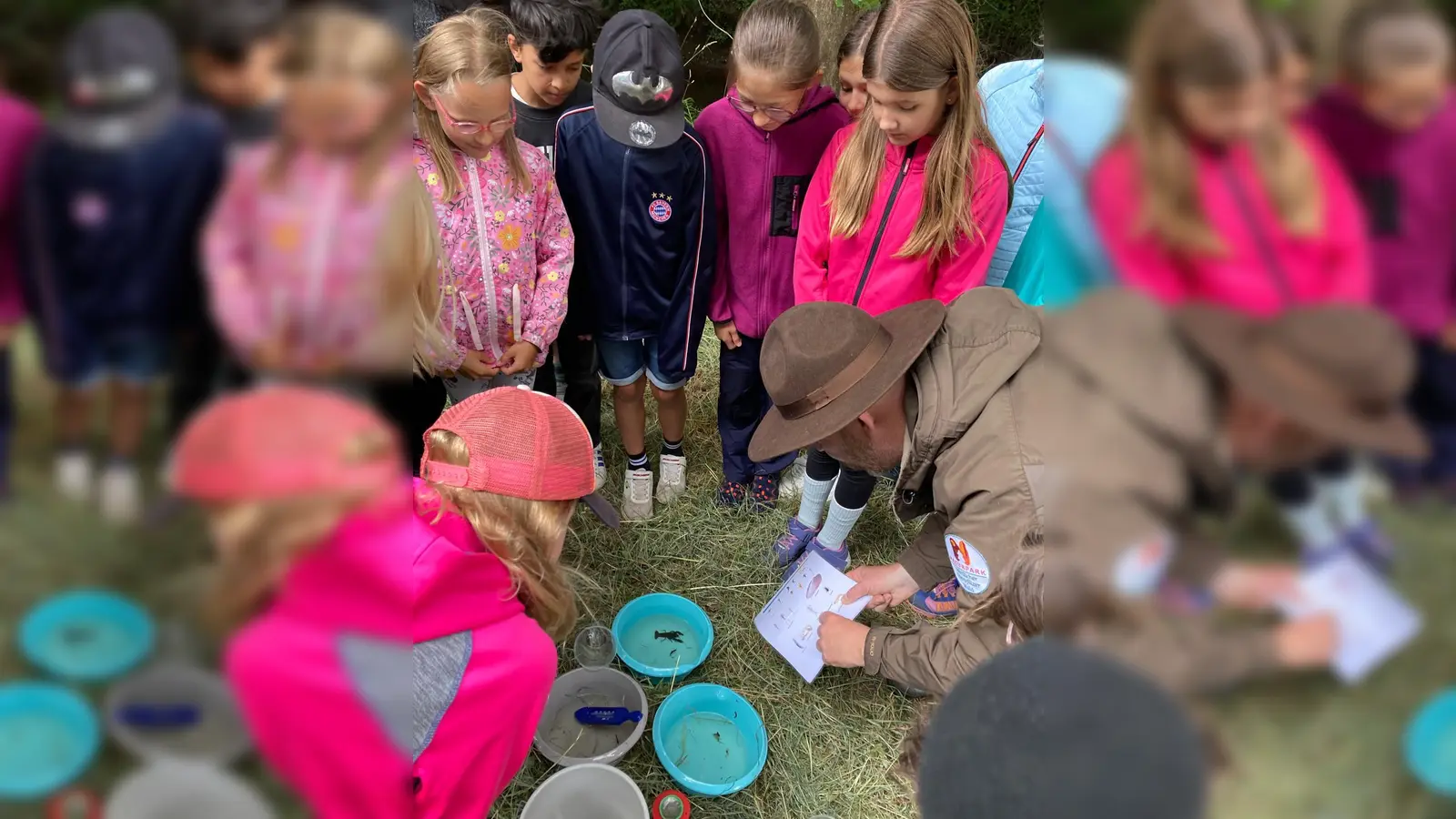 Grundschüler und Naturparkranger beim Beobachten und Bestimmen der Lebewesen aus dem Gewässer. (Bild: Diana Troidl)