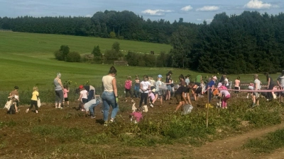 Die Kinder durften mit ihren Eltern auf dem Acker ihre Behältnisse mit Kartoffeln füllen und mit nach Hause nehmen. (Bild: Eva-Maria Procher)