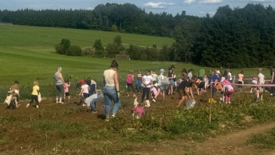 Die Kinder durften mit ihren Eltern auf dem Acker ihre Behältnisse mit Kartoffeln füllen und mit nach Hause nehmen. (Bild: Eva-Maria Procher)