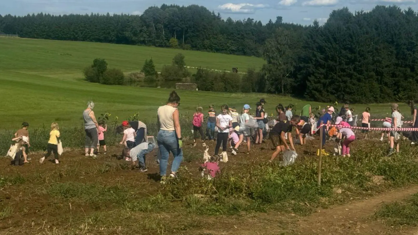 Die Kinder durften mit ihren Eltern auf dem Acker ihre Behältnisse mit Kartoffeln füllen und mit nach Hause nehmen. (Bild: Eva-Maria Procher)