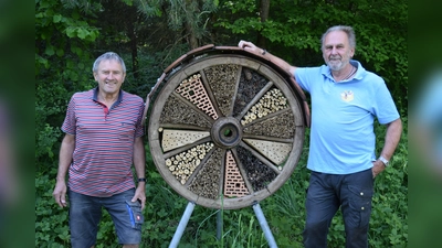 Dass dieses Insektenhotel nicht nur zu Dekorationszwecken dient zeigte sich schon beim Fotoshooting. Jakob List (links) und Joachim Pickel (rechts) konnten gleich mehrere Wildbienen beim Einchecken beobachten.  (Bild: Elfriede Winter )