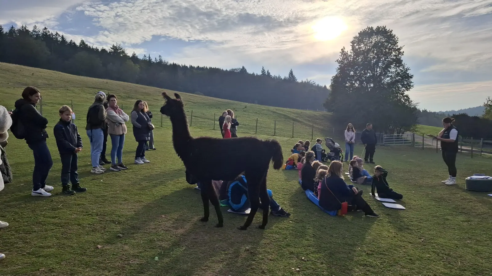 Beim Saisonauftakt des SV Etsdorf gingen die Kinder auf Tuchfühlung mit den Lamas und Alpakas vom Stiftungsverein Herdenglück  (Bild: Sandra Preitschaft)