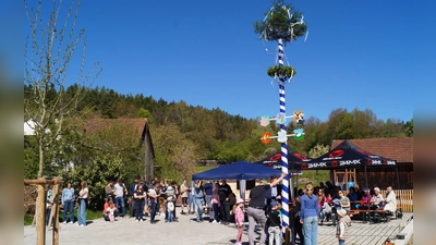 Maibaum Dorfmitte Weidenthal. (Bild: Katharina Haas)