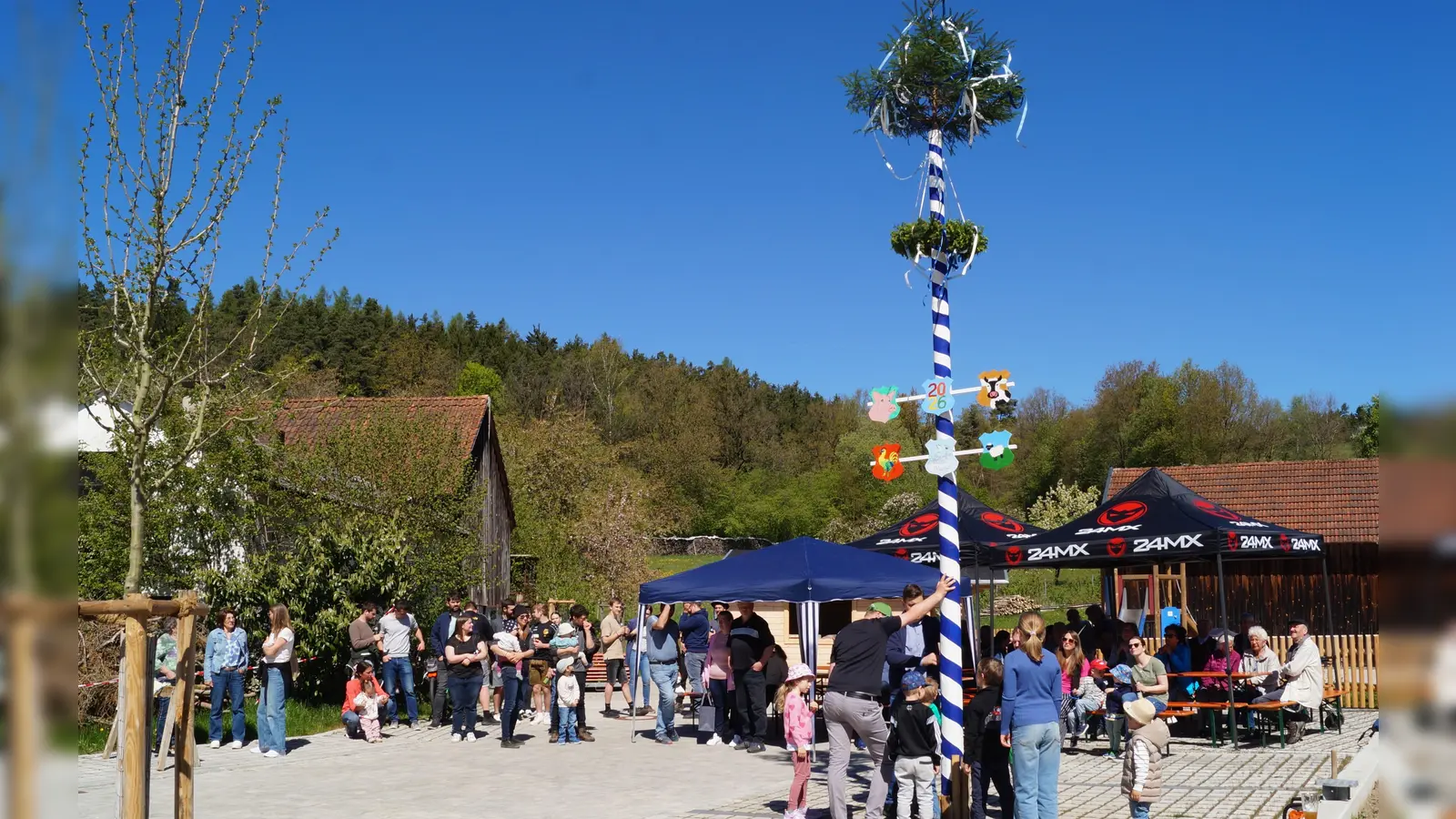 Maibaum Dorfmitte Weidenthal. (Bild: Katharina Haas)