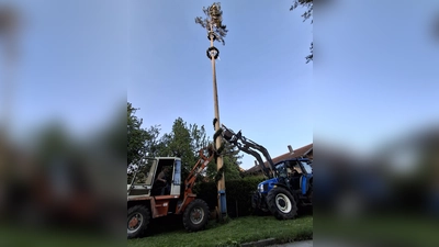 Baum aus dem Jahre 2025 mit 32 Meter (Archivbild: Martin Beutner)