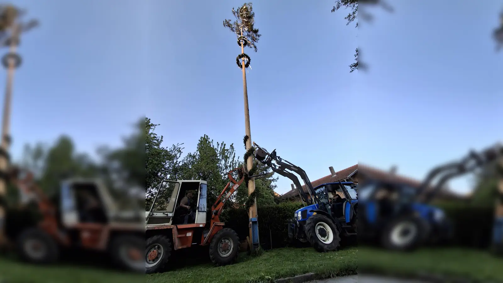 Baum aus dem Jahre 2025 mit 32 Meter (Archivbild: Martin Beutner)