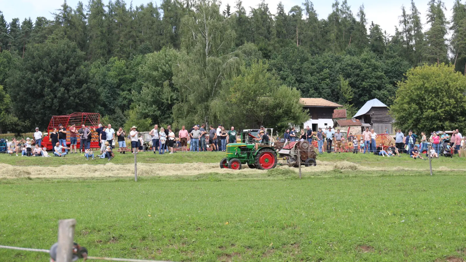 Eine Vorführung aus dem vergangenen Jahr beim Tag der alten Landtechnik. (Bild: Eva Gröninger)