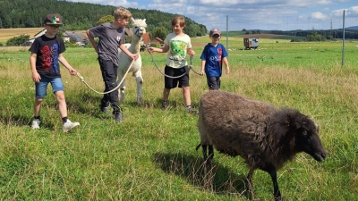 Kolpingsfamilie Waldthurn: Ferienprogramm am Grießlhof in Burkhardsrieth (Bild: Andrea Weig)