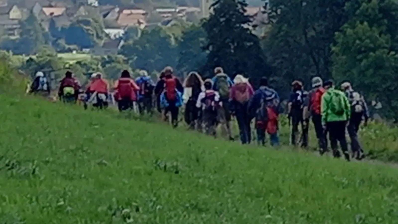 Wanderung am Goldsteig - Wanderlust für alle (Bild: Maria Honig)