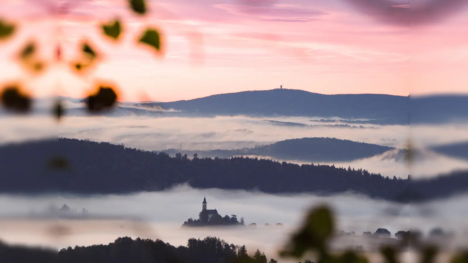 Siegerfoto von 2024 (Bild: Marina Daubenmerkl)