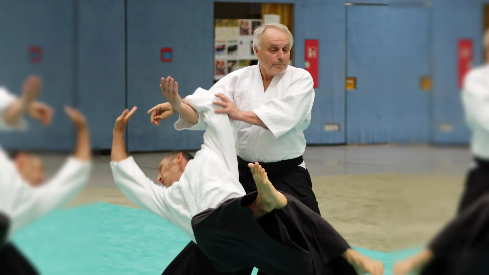Ein anspruchsvolles Training erwartet die Aikidokas an diesem Wochenende. Im Bild eine Übung aus einem vergangenen Jahrestraining. (Bild: Nina Hirmer)
