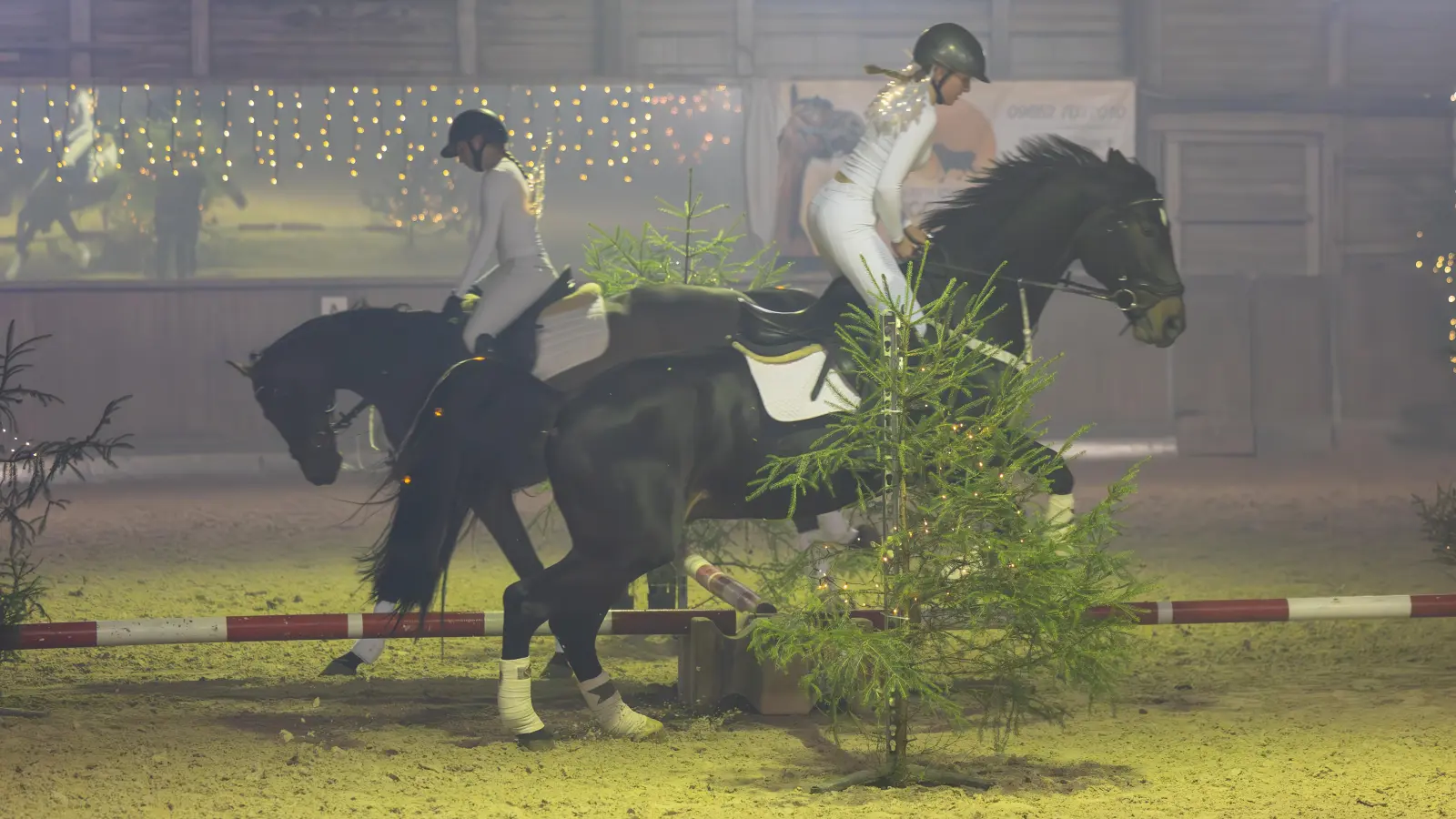 Das Weihnachtsreiten des Reit und Fahrvereins Hahnbach war ein voller Erfolg. (Bild: Dr. Carmen Loeoeck & Peter Mueller)