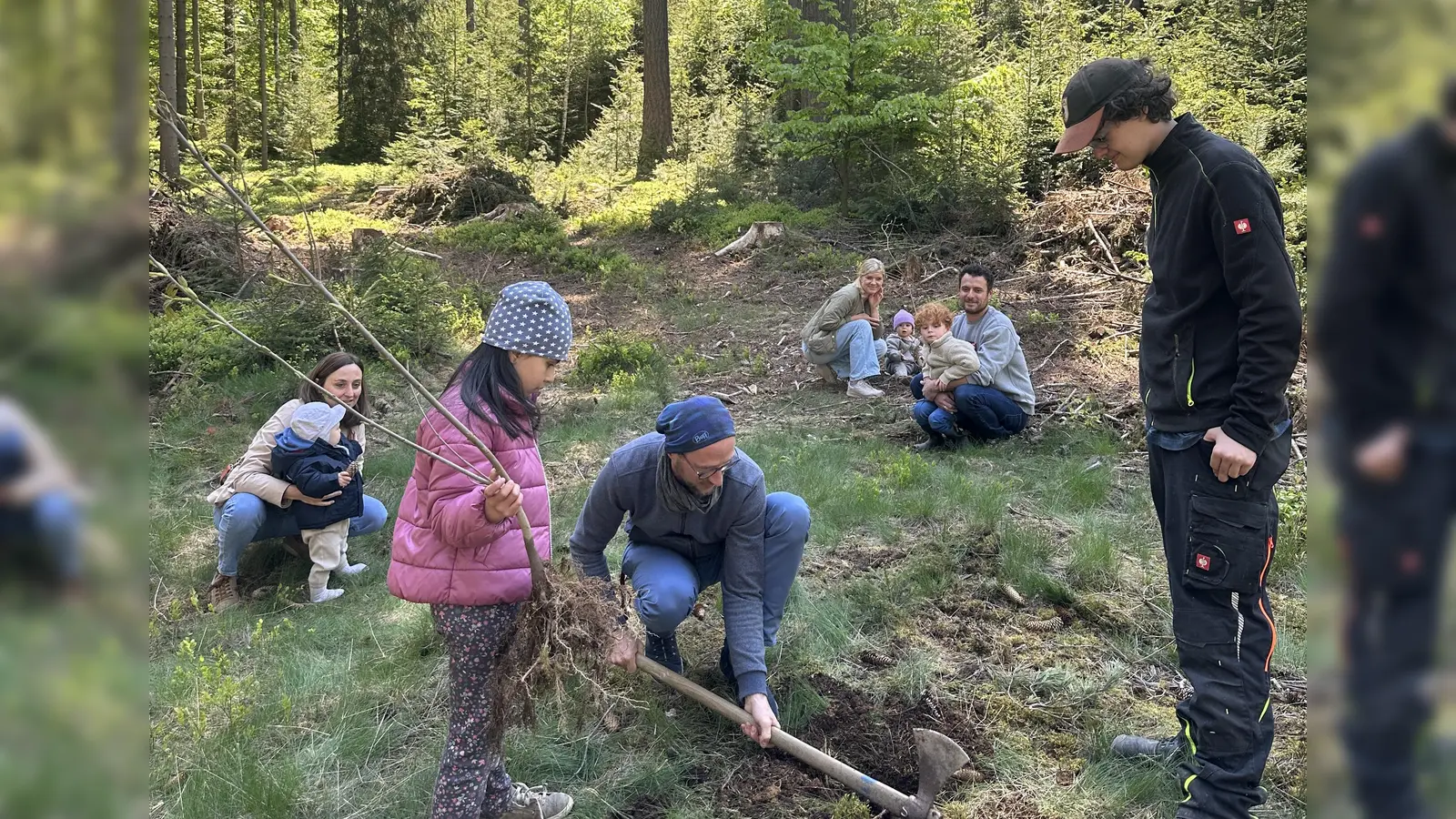 Familien pflanzen einen Baum für ihr Neugeborenes im Stadtwald auf der Luisenburg. (Bild: Vanessa Mauersberger)