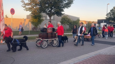 Volksfest-Hunde (Bild: Lisa Singer)