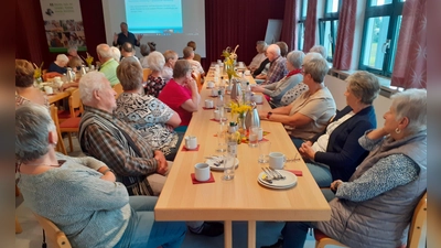 Manfred Häfner referiert über rechtliche Vertretung (Bild: Alfred Schuster)