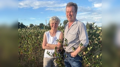 Hedwig und Peter Jacobey in ihrer Aronia-Plantage (Bild: Andrea Wührl)