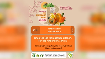 Das Bild zeigt das Kinderferienprogramm „Kinder in der Bio-Gärtnerei“ in Daniels Gemüsegarten in Vohenstrauß. (Bild: Katharina Haas)