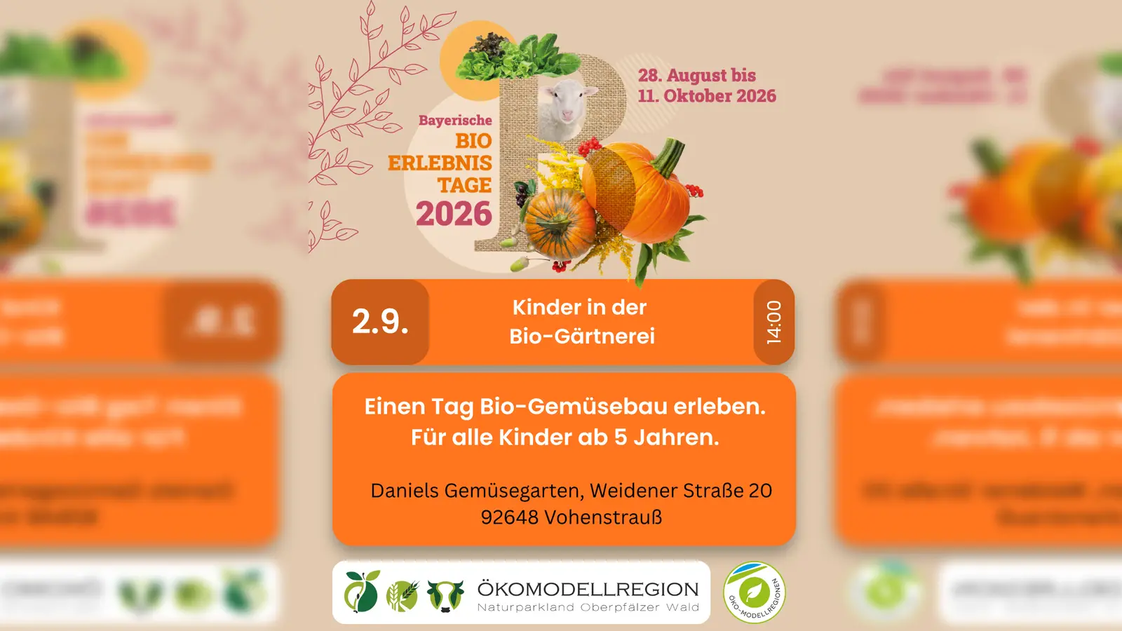 Das Bild zeigt das Kinderferienprogramm „Kinder in der Bio-Gärtnerei“ in Daniels Gemüsegarten in Vohenstrauß. (Bild: Katharina Haas)