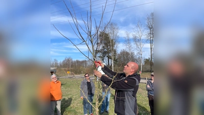 Markus Fuchs vom LRA zeigt den Kursteilnehmern den richtigen Schnitt  (Bild: Leoni Wiesneth )