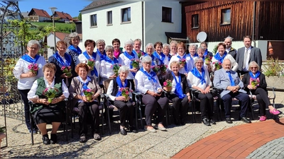 Die geehrten Mitglieder des Frauenbundes Trausnitz zusammen mit den Ehrengästen Rita Kleierl vom Diözesanverband Regensburg (hinten mit pinkfarbenem Schal), Altbürgermeister Hubert Pröls (vorne, 2. von rechts), Bürgermeister Reinhard Schwarz und Pfarrer Hans Spitzhirn (hintere Reihe, von rechts) (Bild: Judith Hackner)