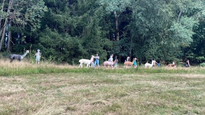 Auf dem Bild sieht man die Wandergruppe bei der Wanderung mit den Alpakas in Hohenhard bei Pullenreuth. (Bild: Alexander Hörl)