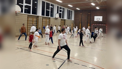Beim Karate Anfängerkurs wird niemand alleine gelassen. Jeder bekommt seinen eigenen Karatetrainer zugeteilt. (Bild: Marcel Bieber)
