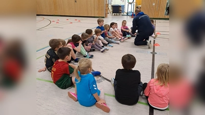 Zahlreiche Kinder haben sich zum Handball beim TSV Detag Wernberg eingefunden. (Bild: Eva Ernst)