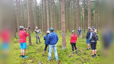 Stefan Gradl (3.v.l.) bei einer Stadtwald-Führung im vergangenen Jahr (Bild: Mirko Streich)