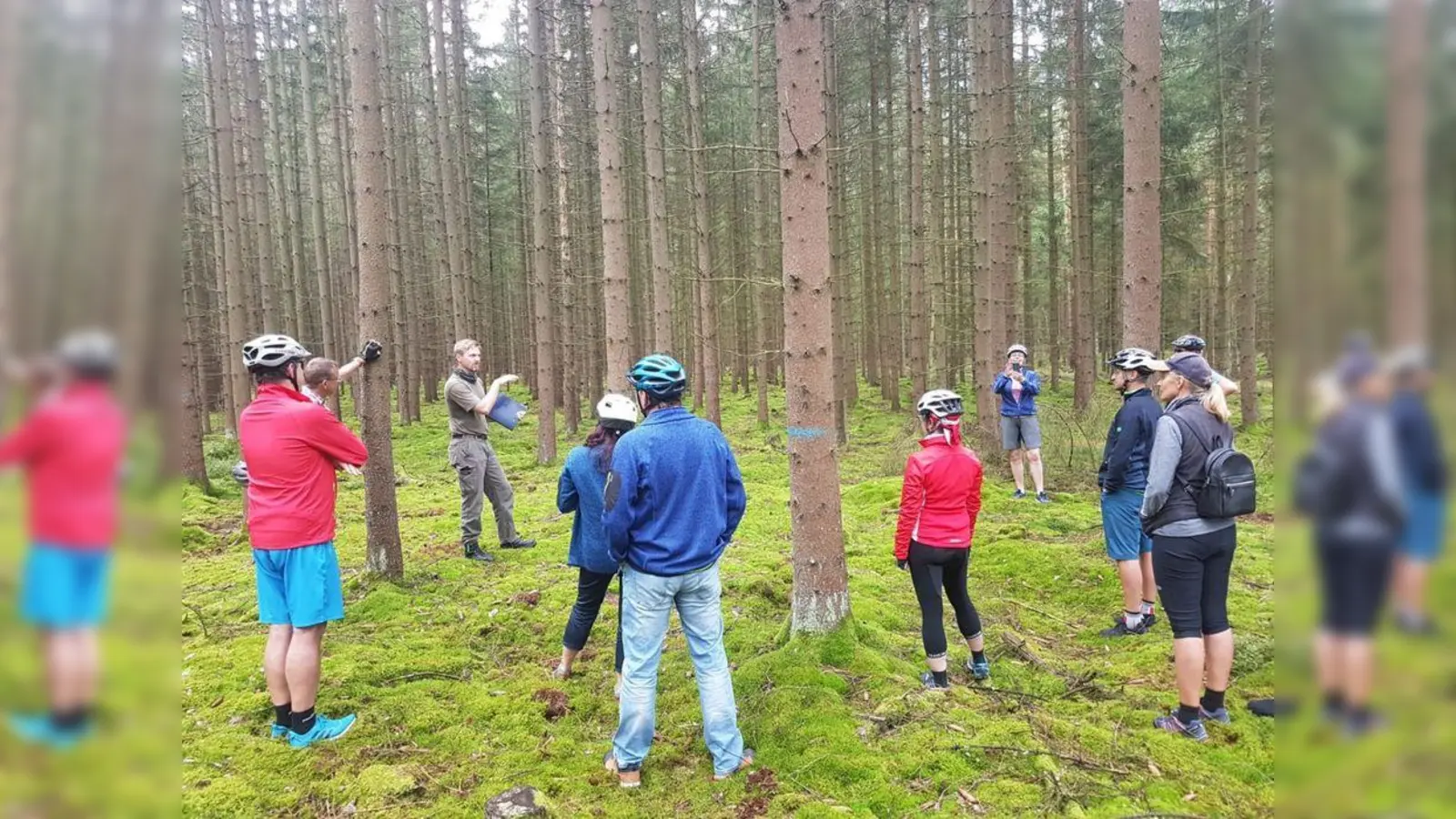 Stefan Gradl (3.v.l.) bei einer Stadtwald-Führung im vergangenen Jahr (Bild: Mirko Streich)