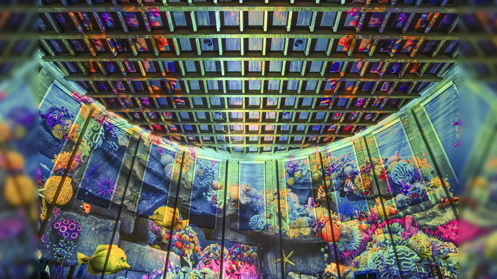 Mit „Pixel Zoo Ocean“ verwandelt sich die Schwimmhalle tagsüber in ein riesiges, digitales Aquarium. (Bild: Roman Beranek)