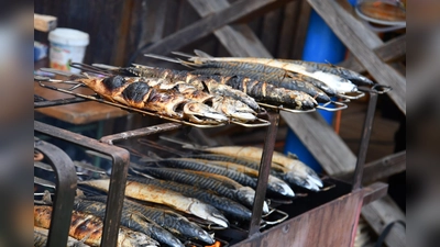 Die besten Makrelen der Stadt gibt es beim SPD Ortsverein Weiden West/Neu.  (Bild: Dagmar Nachtigall)