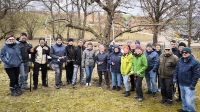 Torsten Hergenröther (4.v.r), Christian Blend (2.v.r) und Ingo Simandi (4.v.l.) wiesen die Teilnehmer in den Obstbaumschnitt ein und gaben praktische Tipps. (Bild: Simon Rosner)