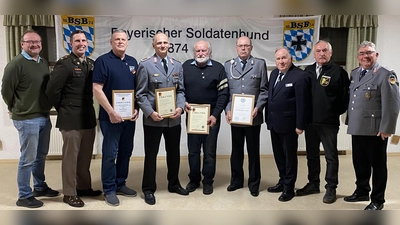 Die Soldaten- und Reservistenkameradschaft der Marktgemeinde Freihung e.V. zeichnete zusammen mit dem Verband der Reservisten der Deutschen Bundeswehr e.V. (VdRBw) und dem Bayerischen Soldatenbund 1874 e.V. (BSB) verdiente und langjährige Mitglieder für deren Treue und ehrenamtliches Engagement bei der Jahreshauptversammlung aus. Im Bild v.l.n.r.: Bürgermeister Uwe König, Major Matthew Zarek (18. CSSB), Command Sergeant Major (CSM) a.D. Bryan Kroontje, Oberstabsfeldwebel a.D. Johann Apfelbacher, Hauptmann a.D. Rudolf Scharl, Hauptgefreiter d.R. Alfons Hupfer, Bezirksvorsitzender Horst Embacher (BSB), Oberstleutnant d.R. Werner Gebhard (VdRBw) und Oberstleutnant d.R. Norbert Bücherl. (Bild: Norbert Bücherl)