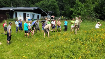 Manfred Wiedermann berichtet über die erfolgreiche Wiederansiedelung der Arnika im Bereich Skihang Wurmstein (Bild: Cordula Krebs)