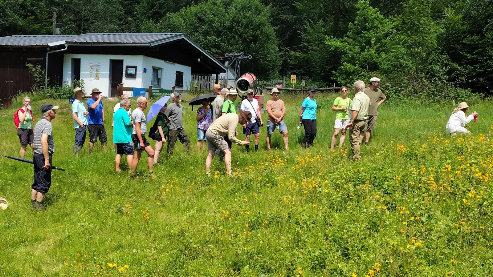 Manfred Wiedermann berichtet über die erfolgreiche Wiederansiedelung der Arnika im Bereich Skihang Wurmstein (Bild: Cordula Krebs)
