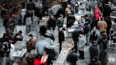 Der Taubenmarkt ist eines der Motive, die in der Ausstellung „In Pfreimd und um Pfreimd herum” der Fotofreunde ab 26. September im Bürgersaal zu sehen sind.  (Bild: sus)
