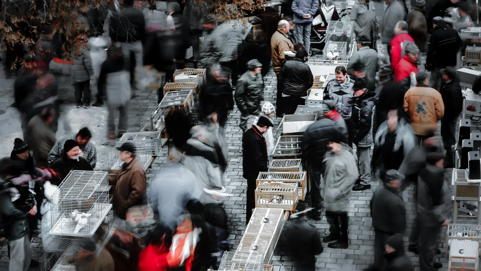 Der Taubenmarkt ist eines der Motive, die in der Ausstellung „In Pfreimd und um Pfreimd herum” der Fotofreunde ab 26. September im Bürgersaal zu sehen sind.  (Bild: sus)