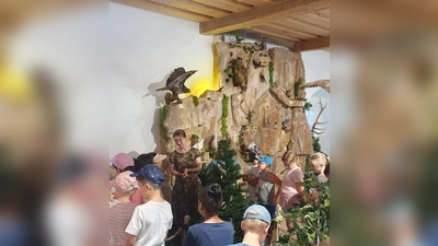 Schüler besuchen das neue Jagdmuseum (Bild: Steffi Köppl)